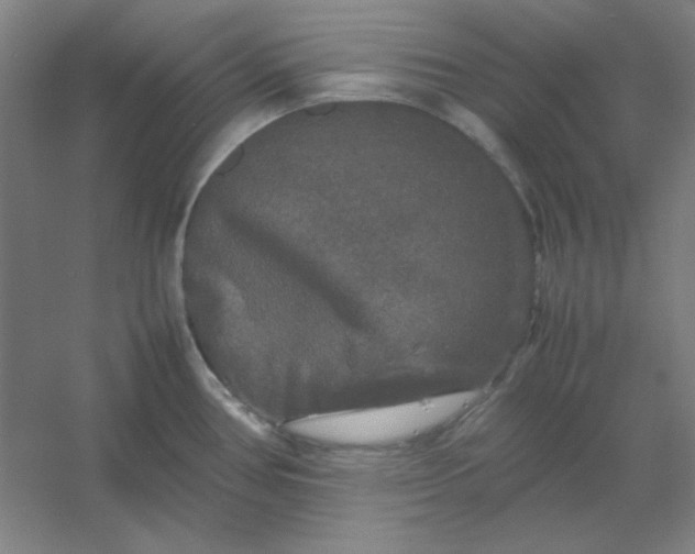 X0000054411386200508121714