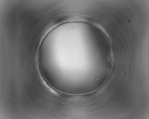 X0000054411387200508121714