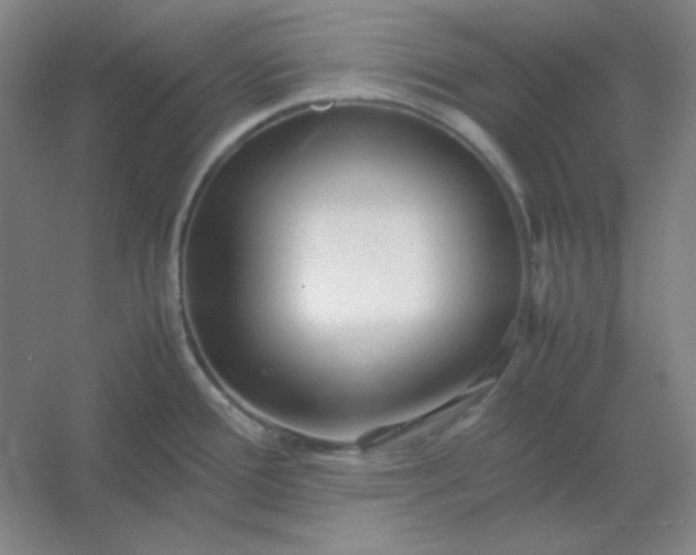 X0000054411388200508121714