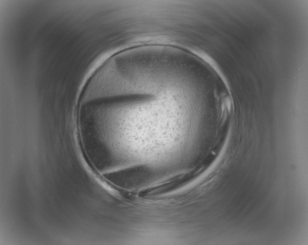 X0000054411389200508121714