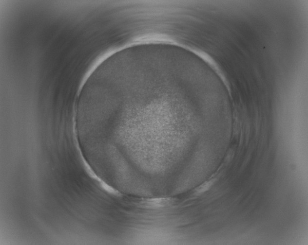 X0000054411390200508121714