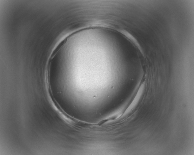 X0000054411391200508121714