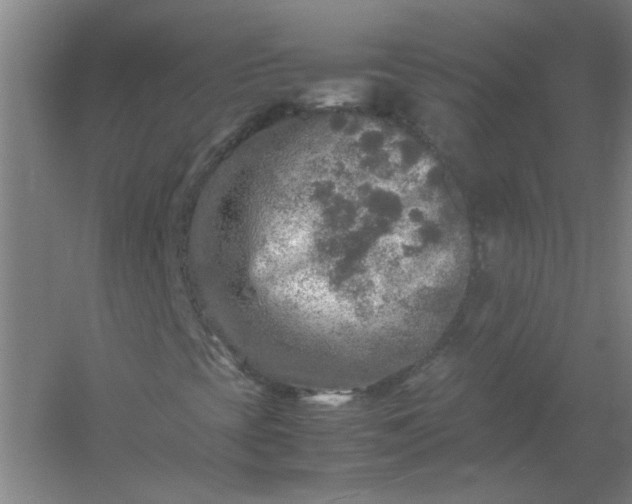 X0000054411393200508121713