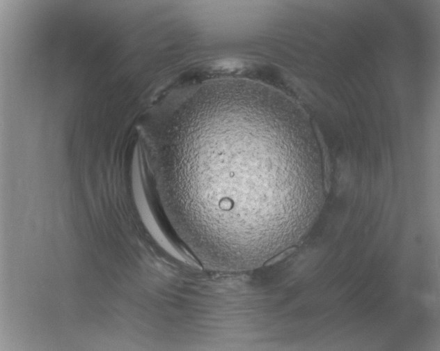 X0000054411394200508121713