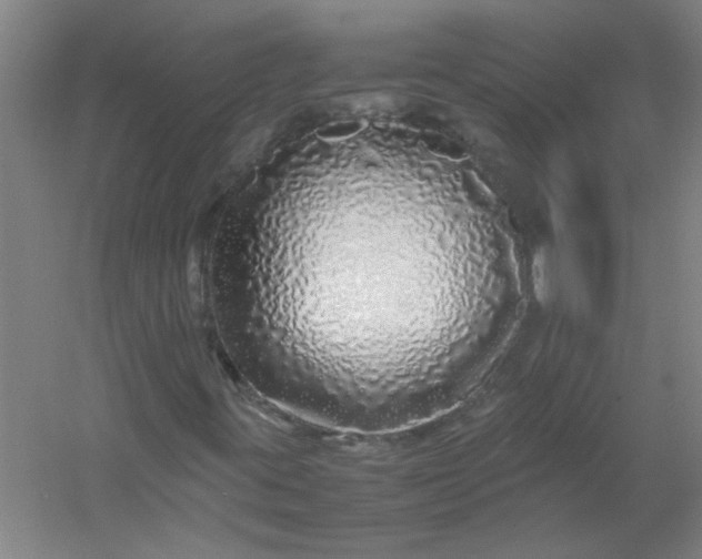 X0000054411395200508121713