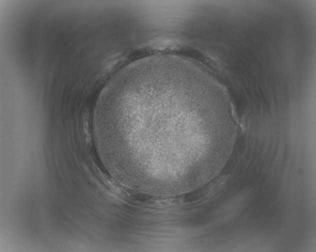 X0000054411396200508121713