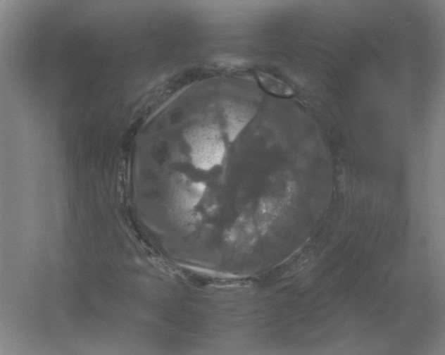 X0000054411397200508121713