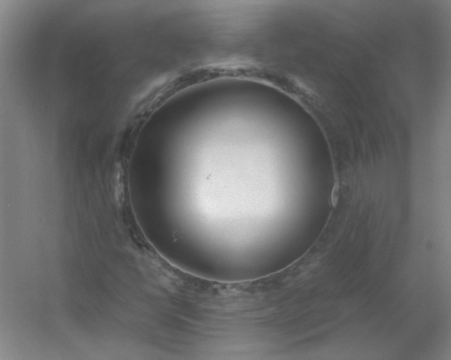 X0000054411398200508121713