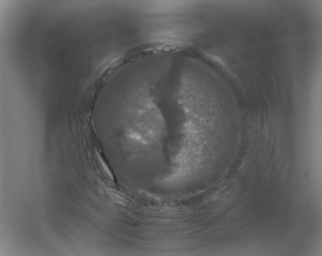 X0000054411399200508121713