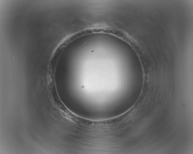 X0000054411400200508121713