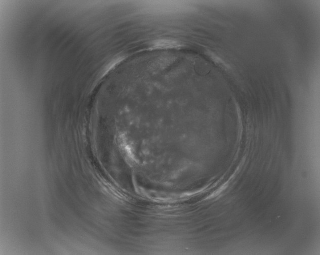 X0000054411401200508121713