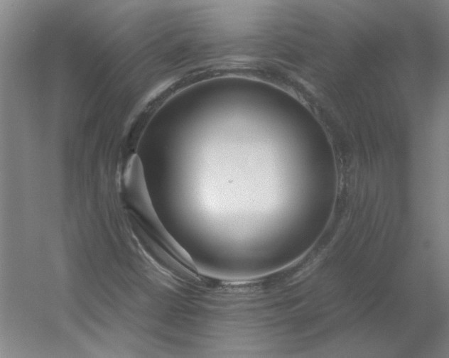 X0000054411402200508121713