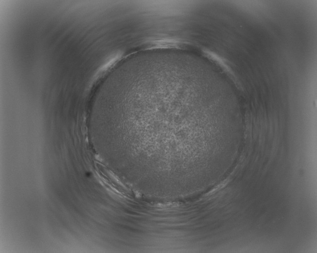 X0000054411403200508121713