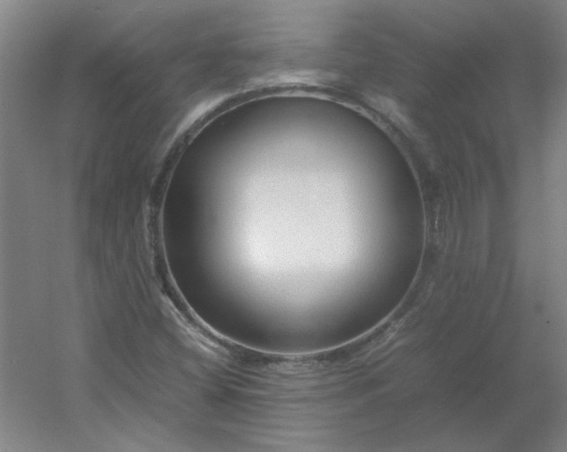 X0000054411404200508121713