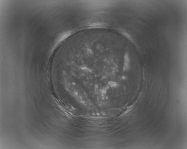 X0000054411405200508121713