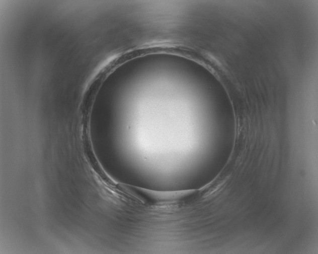 X0000054411406200508121713