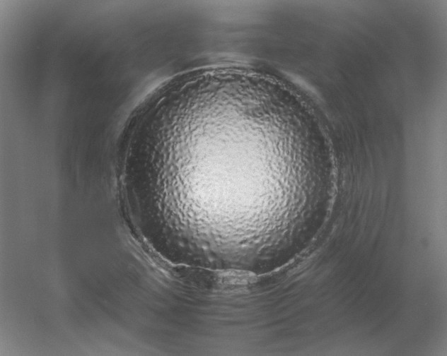 X0000054411407200508121713