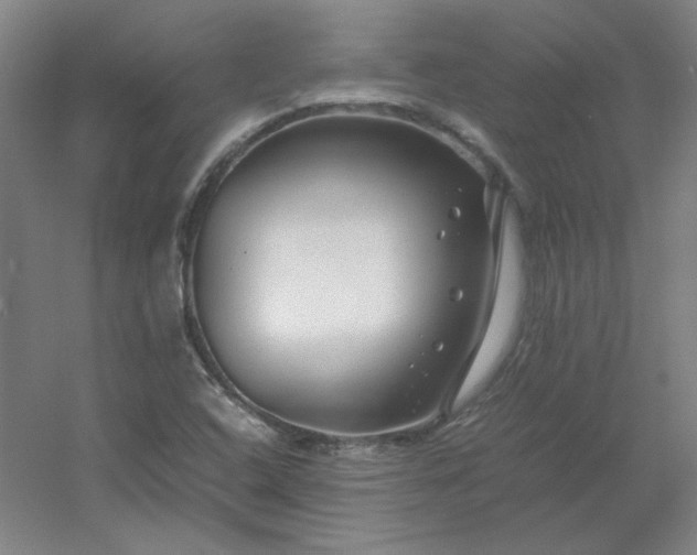 X0000054411408200508121713