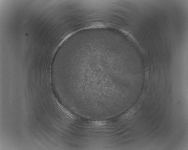 X0000054411409200508121713