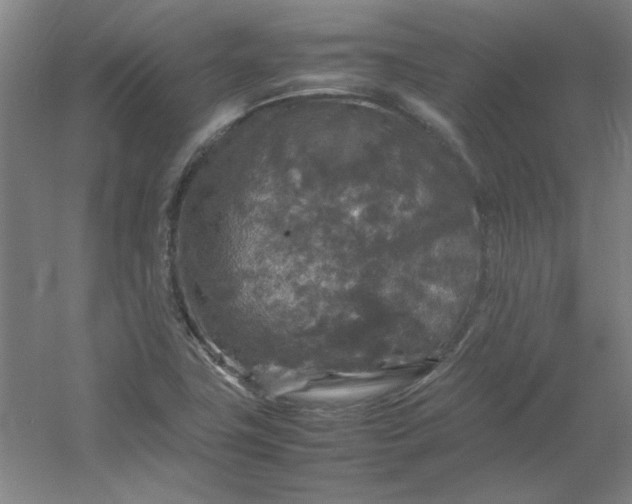 X0000054411411200508121713