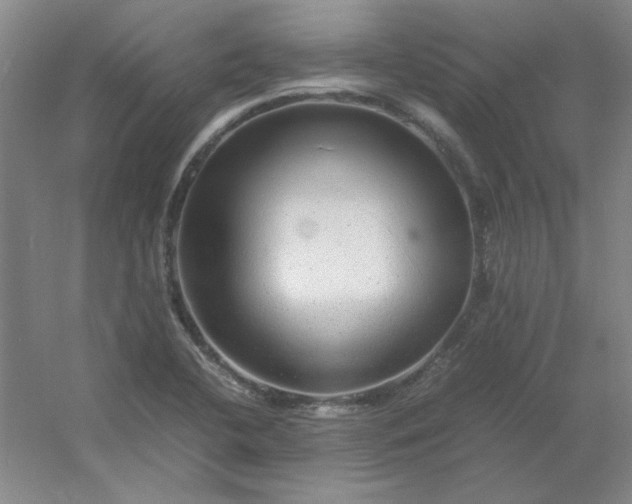 X0000054411412200508121713