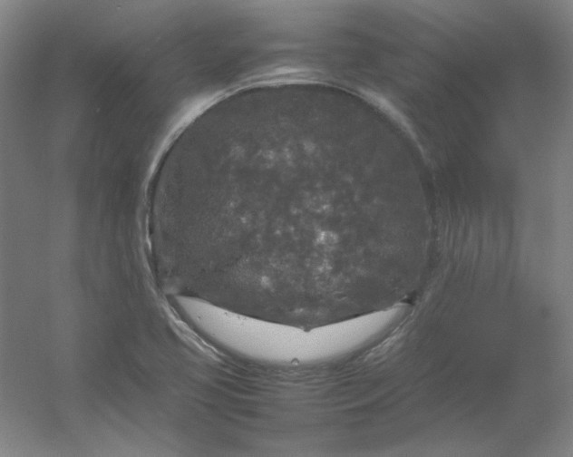 X0000054411413200508121713