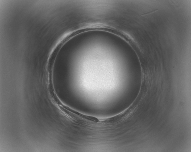 X0000054411414200508121713