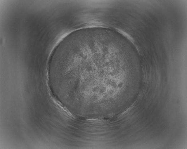 X0000054411415200508121713