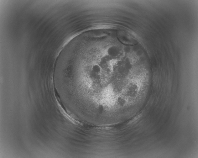 X0000054411417200508121713