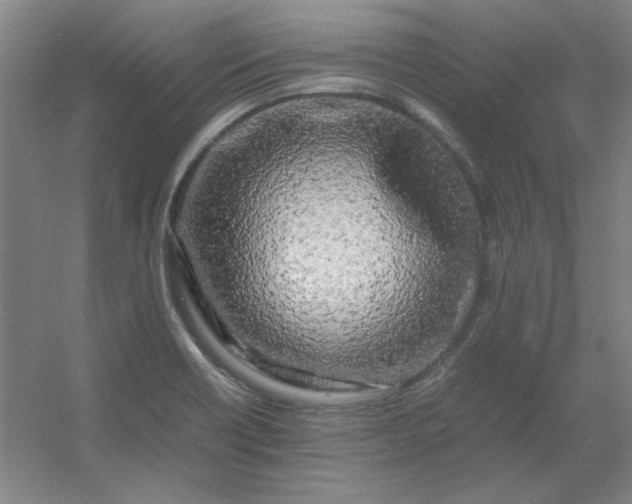 X0000054411418200508121713