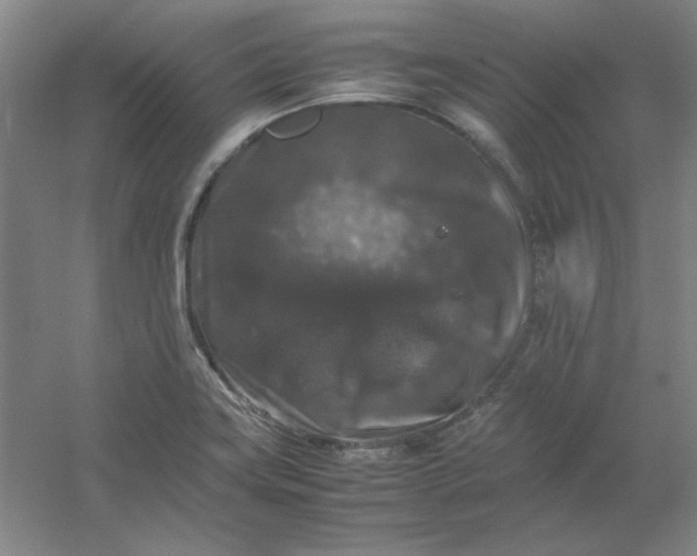 X0000054411419200508121713