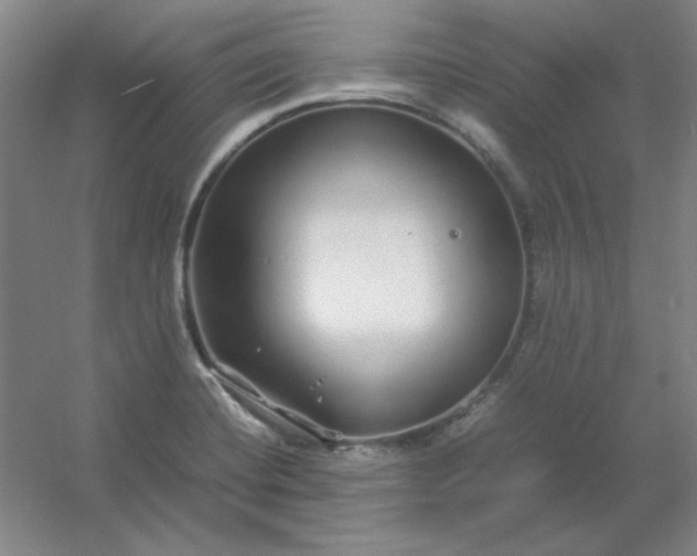 X0000054411420200508121713