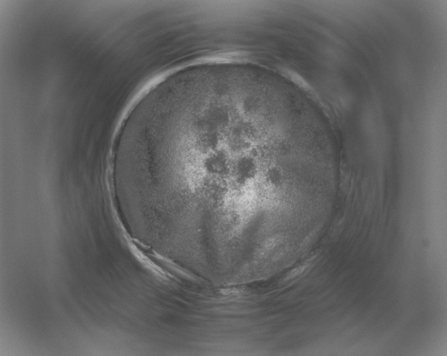 X0000054411421200508121713