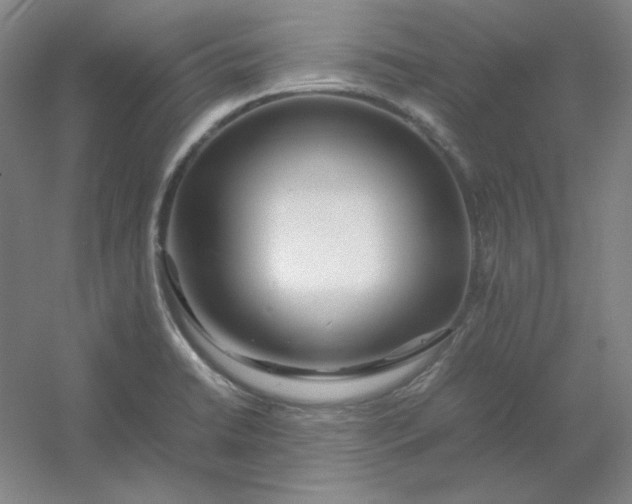 X0000054411422200508121713