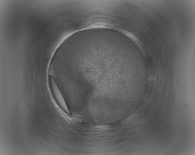 X0000054411423200508121713