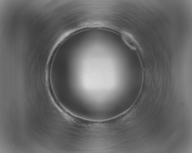 X0000054411424200508121713