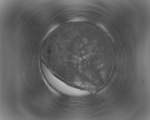 X0000054411425200508121713