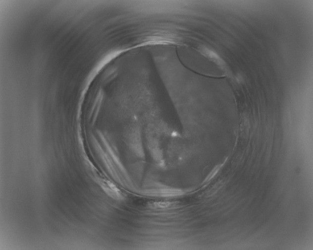 X0000054411427200508121713