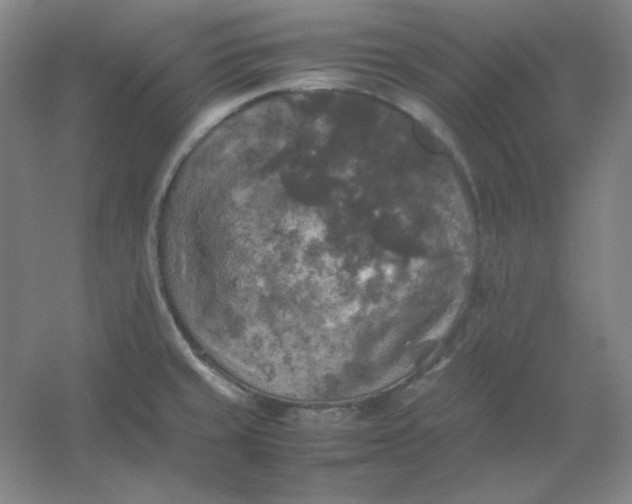 X0000054411429200508121713