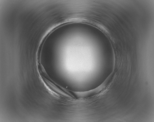 X0000054411430200508121713