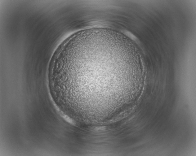 X0000054411431200508121713