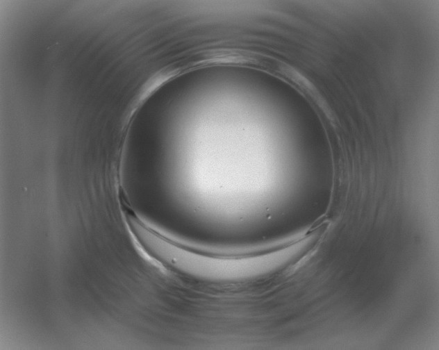 X0000054411433200508121713