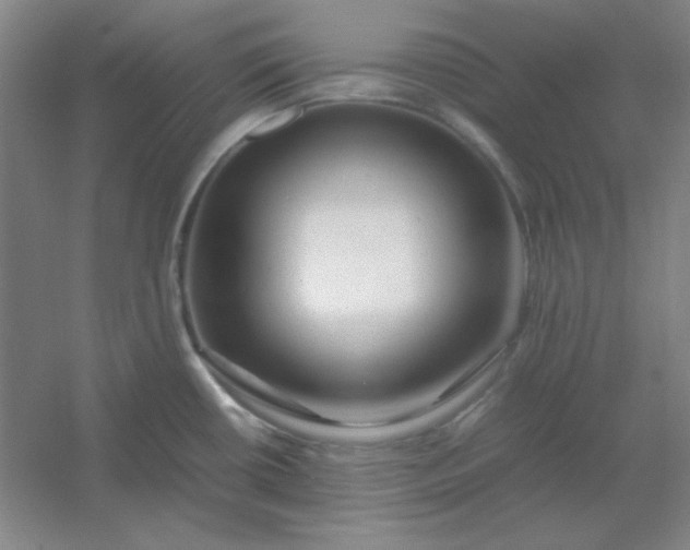 X0000054411434200508121713