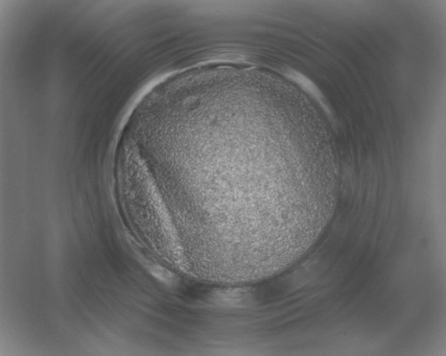 X0000054411435200508121713