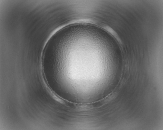 X0000054411436200508121713