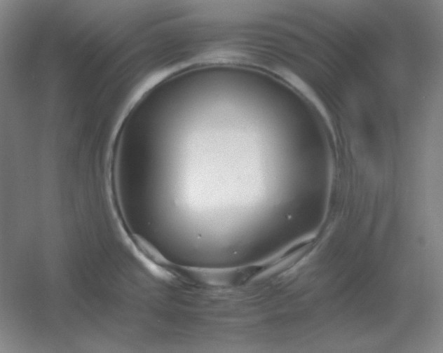 X0000054411437200508121713