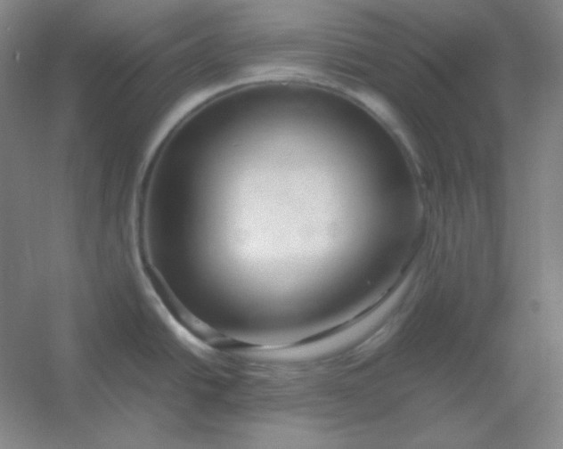 X0000054411438200508121713