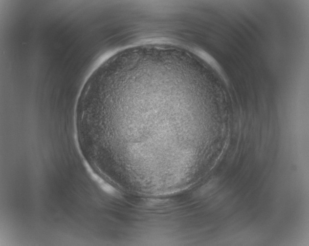 X0000054411439200508121713