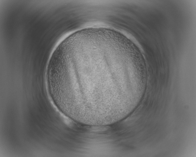 X0000054411440200508121713