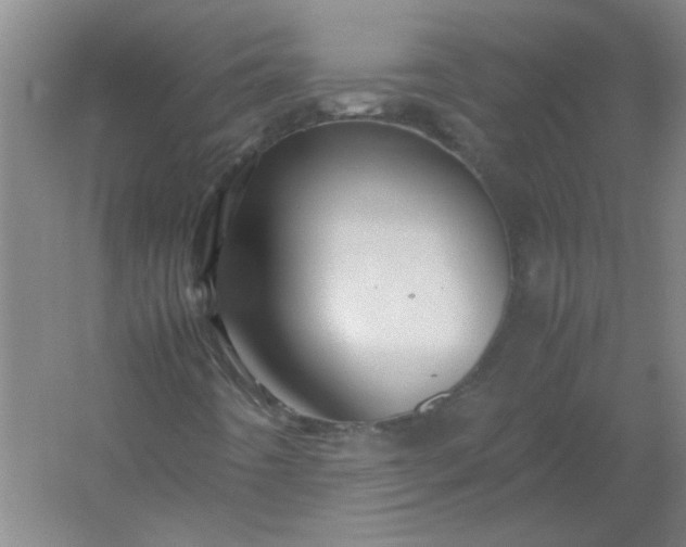 X0000054411442200508121713